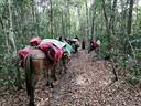 Mayan Biosphere Reserve