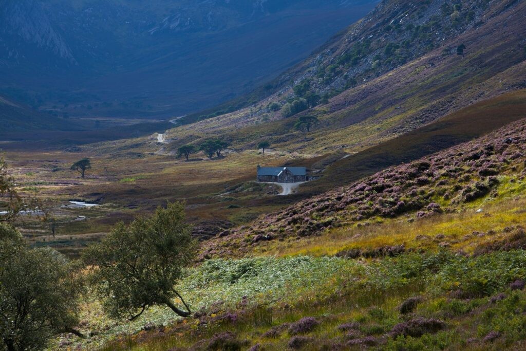 Eagle's Crag Cottage