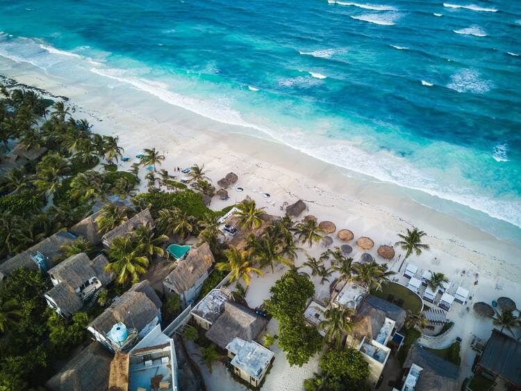 tulum beach clean up