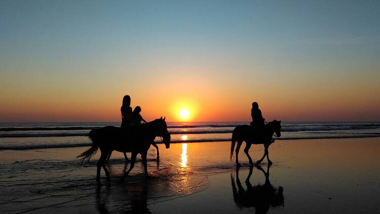 horseback ride beach
