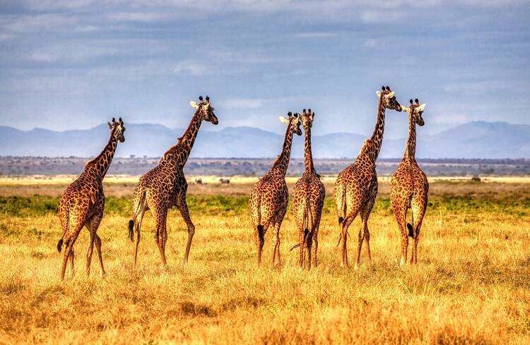 Kenya