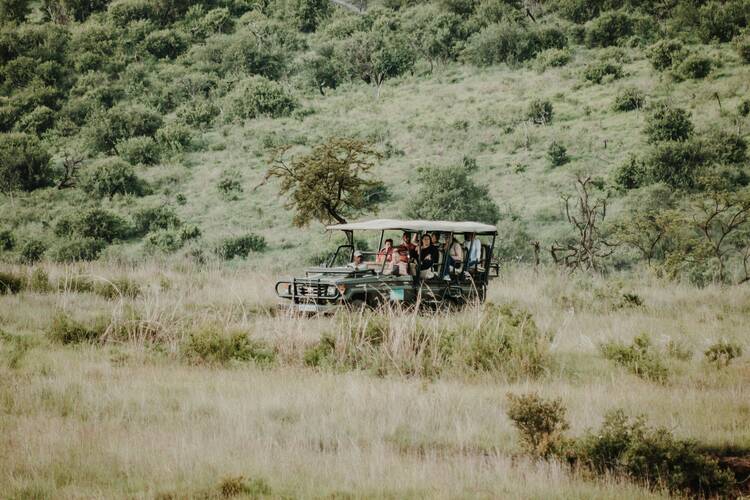 Safari game drive generic