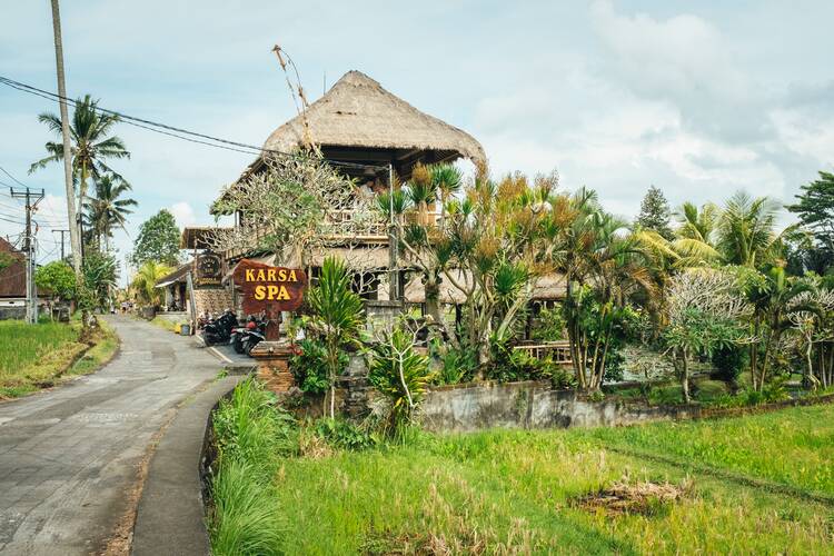Ubud Free Day