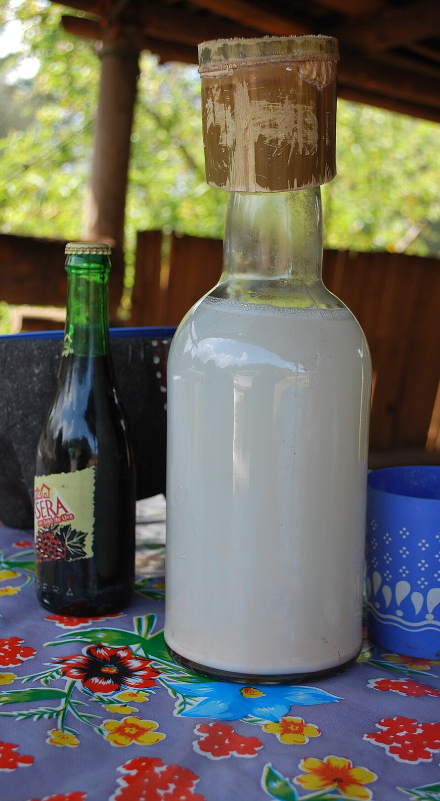 Pulque Bottle Mexico feature