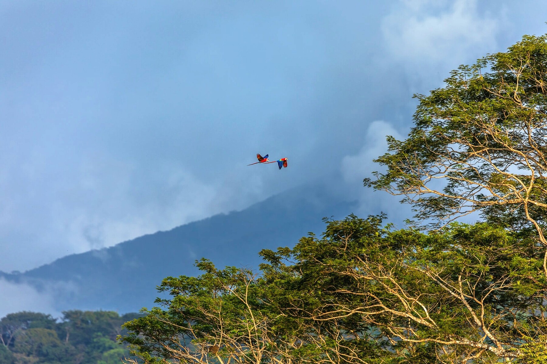 Costa Rica landscape