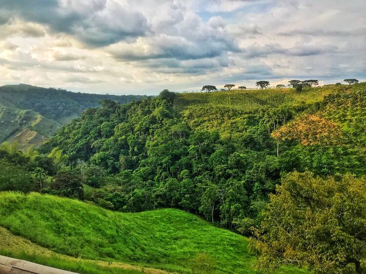 Anahata Walk