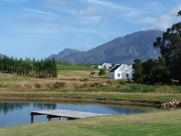 Winery Near Cape Town