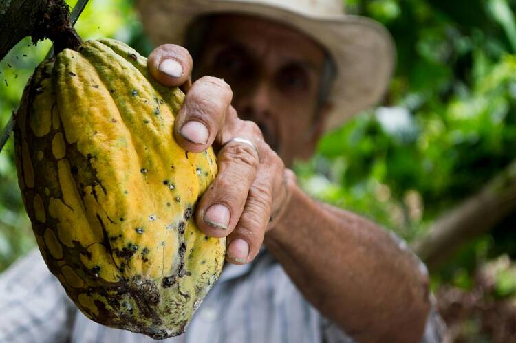 Cacao Feat