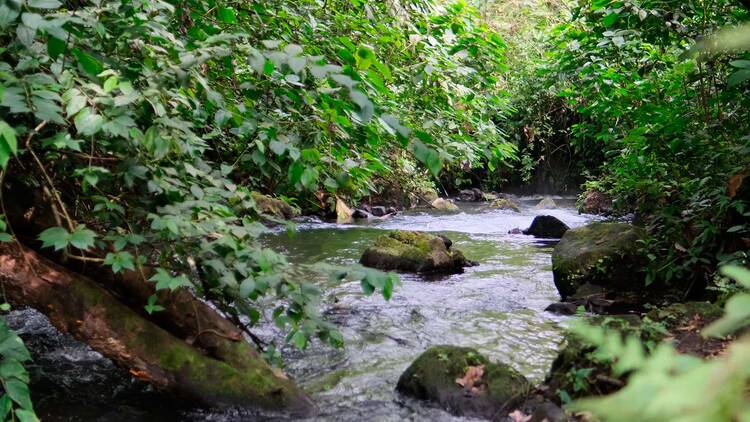 Choyin Hot Springs