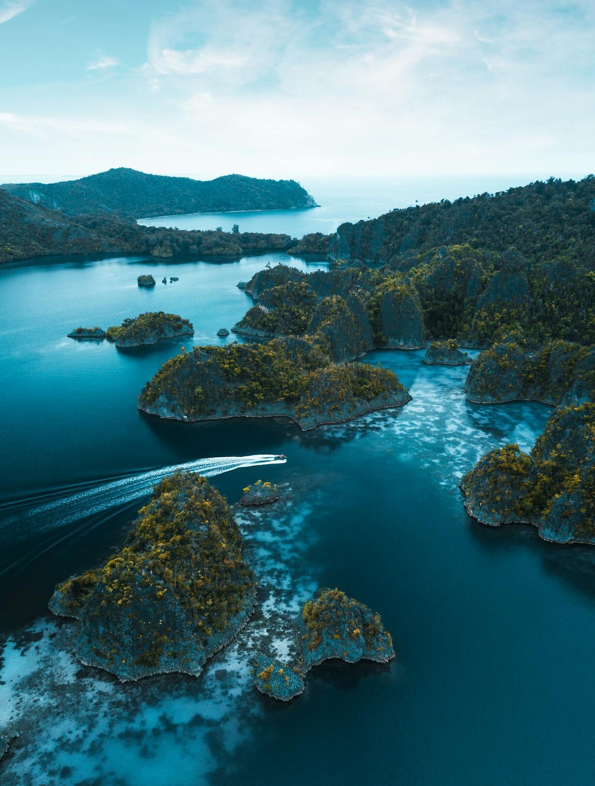 Banggai Islands