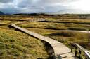 Thingvellir