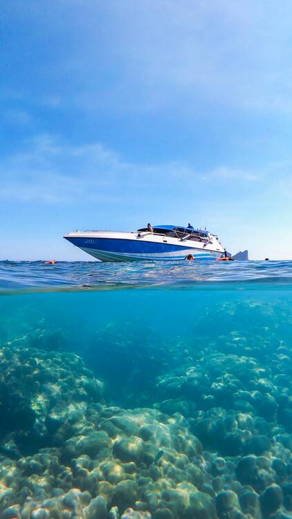 Phi Phi Islands snorkeling