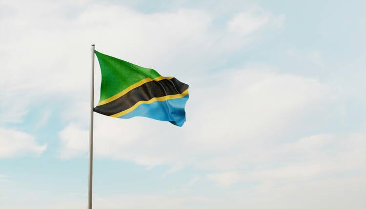 Tanzania flag - featured
