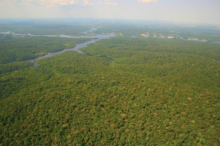Amazon Rainforest