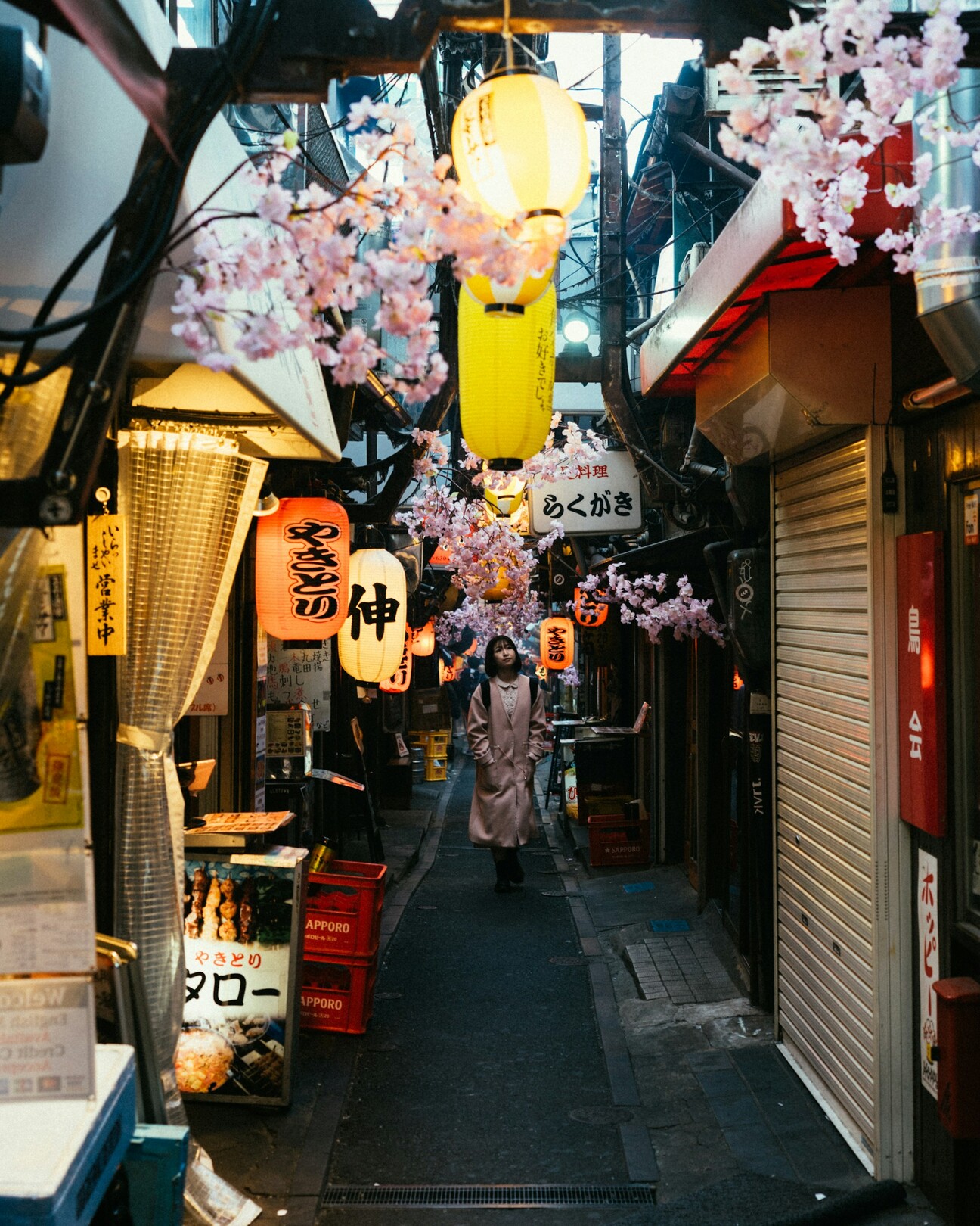 Shinjuku Omoide Yokocho street - Japan - feature