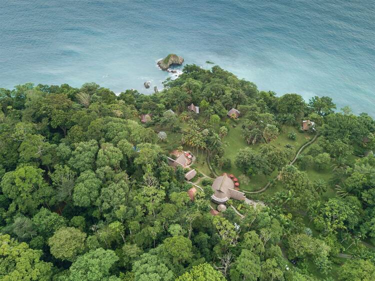 Rainforest Lodge View