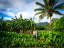 Rarotonga - Takuvaine Valley