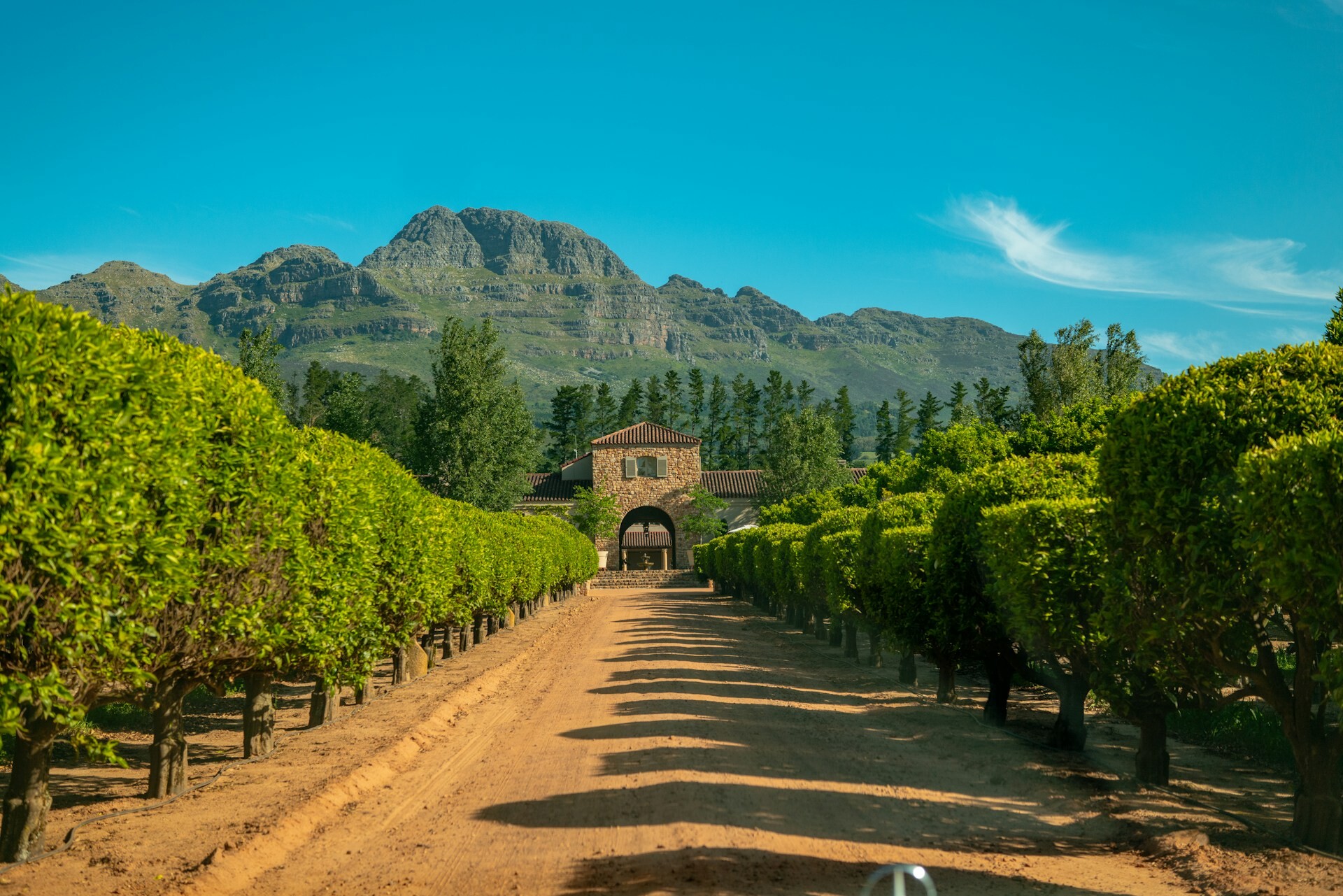 Stellenbosch Winelands Cape Town Feature