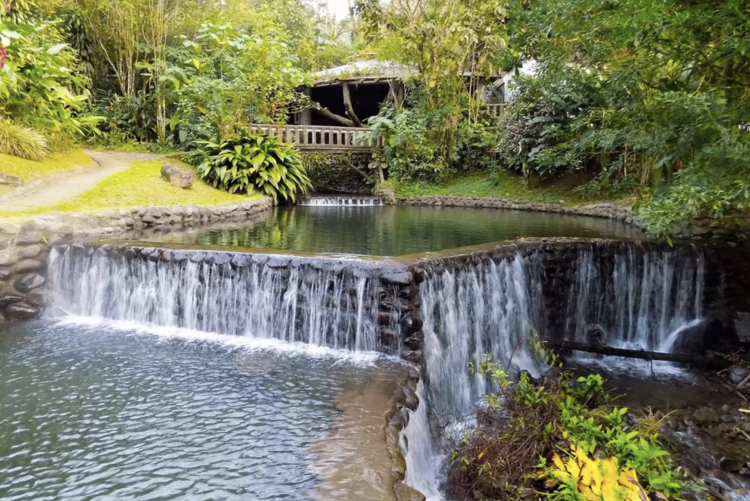 Rancho Margot Eco Lodge