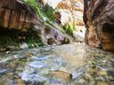 Zion National Park