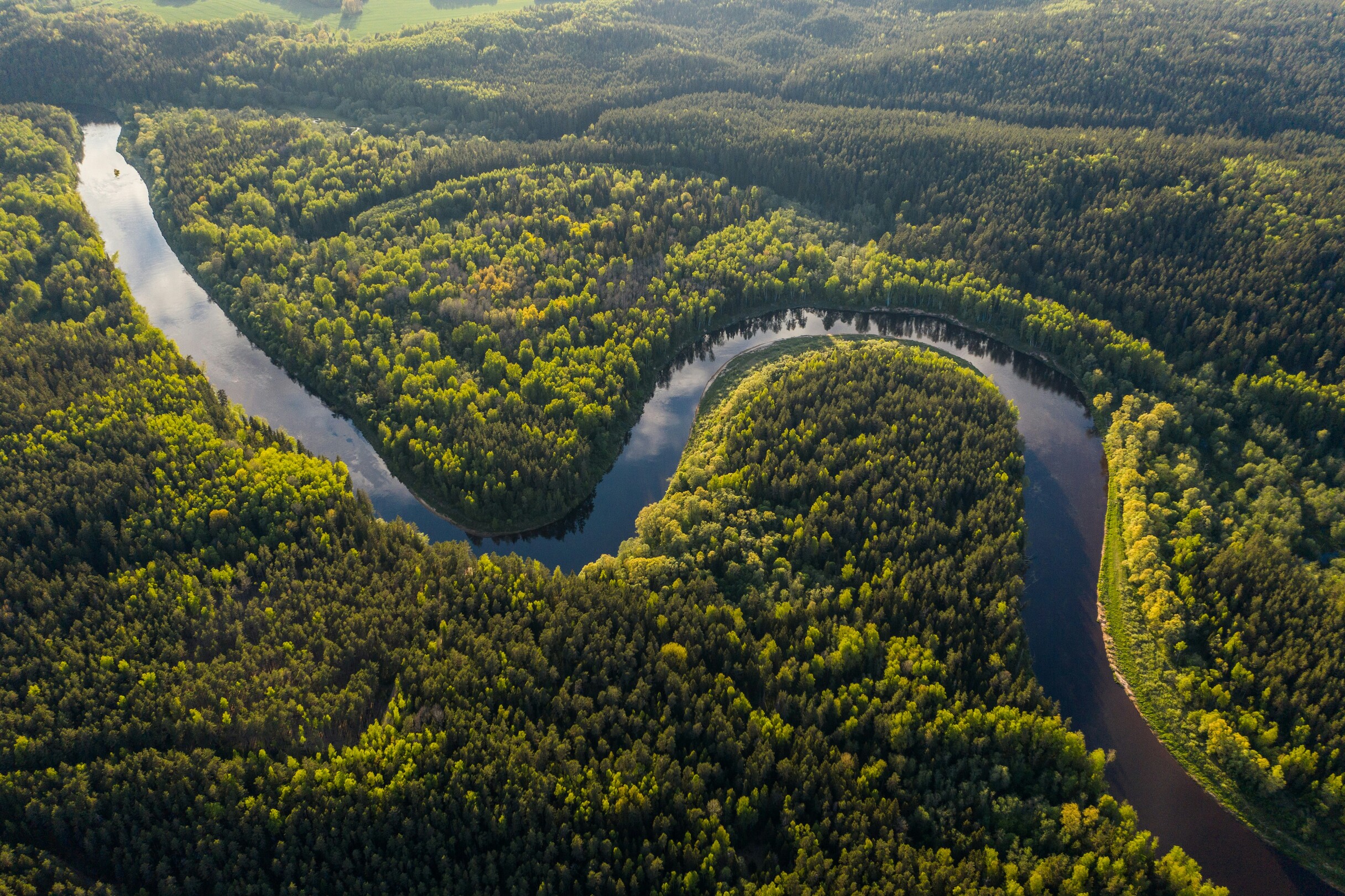 Amazon Rainforest and River aerial feature