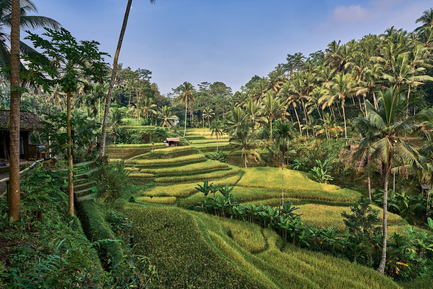 Bali