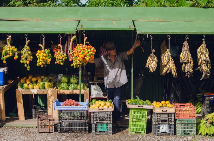 Costa Rica market