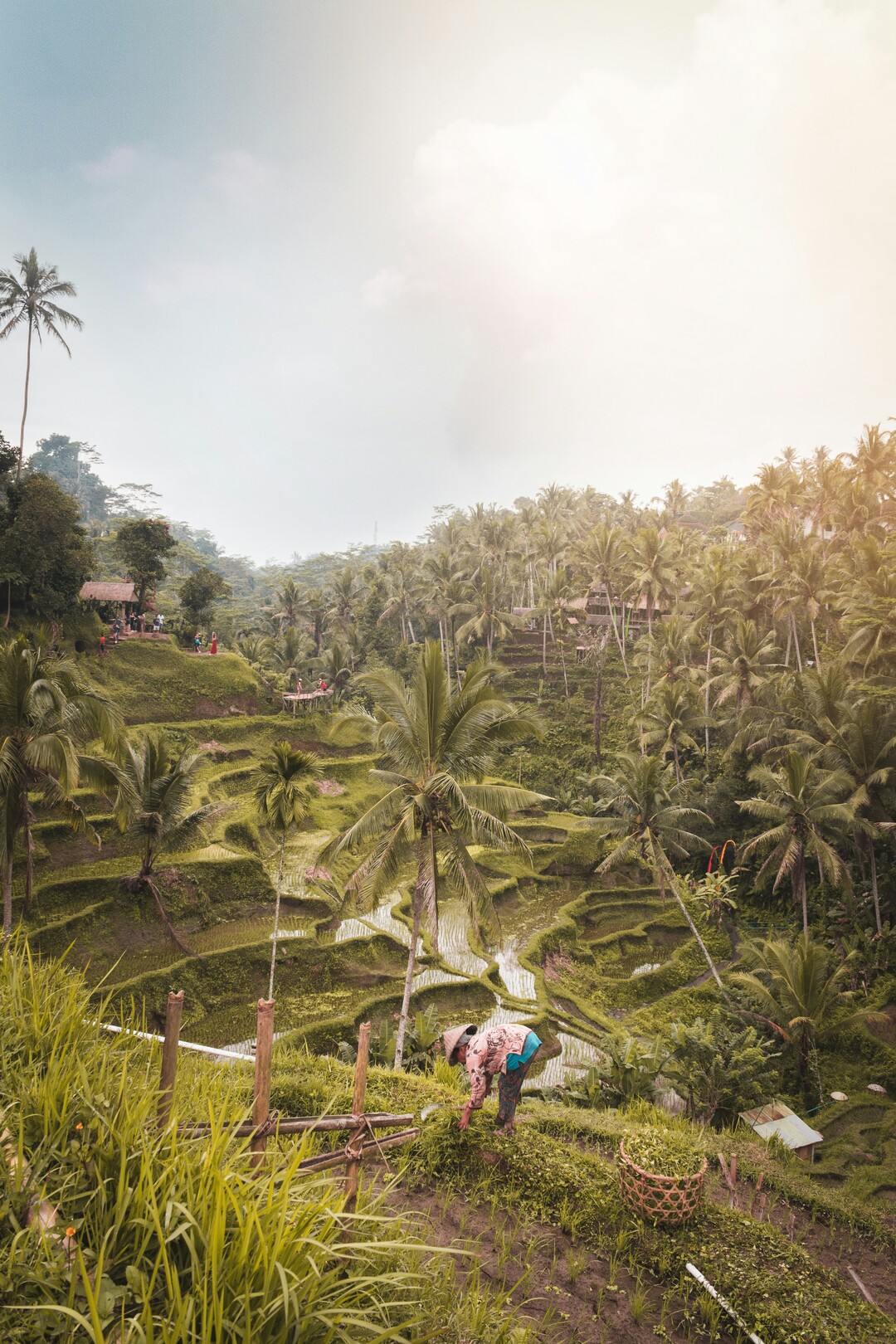Tegalalang rice terraces with worker in Bali, Indonesia feature