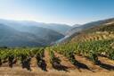 Douro Valley Cruise