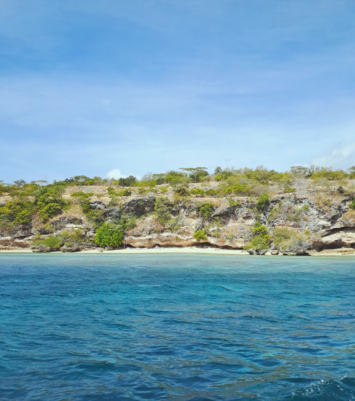 West Bali National Park feature