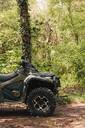 ATV Forest