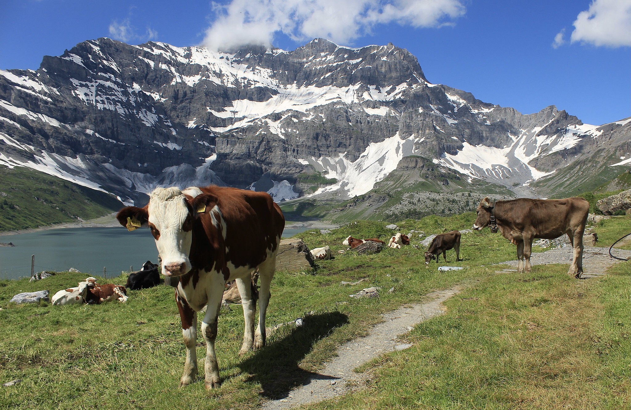 Col du Jorat Switzerland feature
