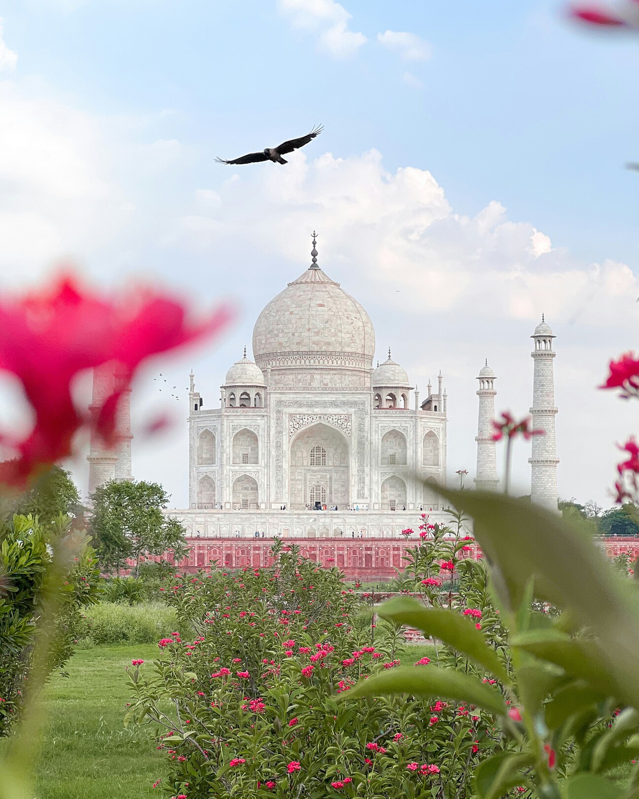 Taj Mahal in Agra India feature