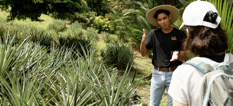 Finca Sura