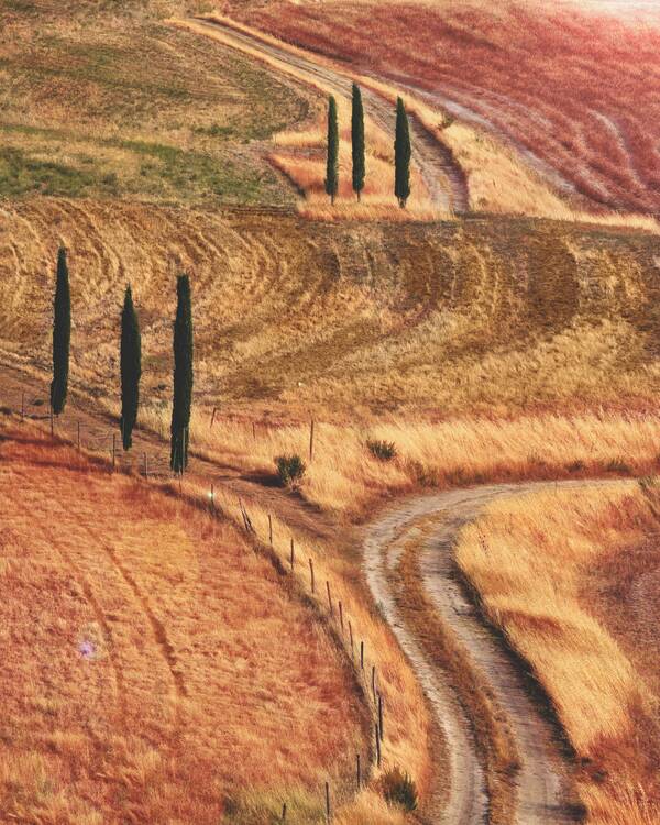 Siena path - featured