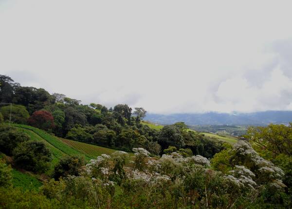 Itinerary image