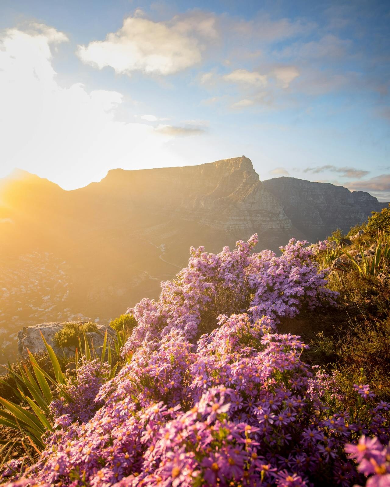 Table Mountain sunrise