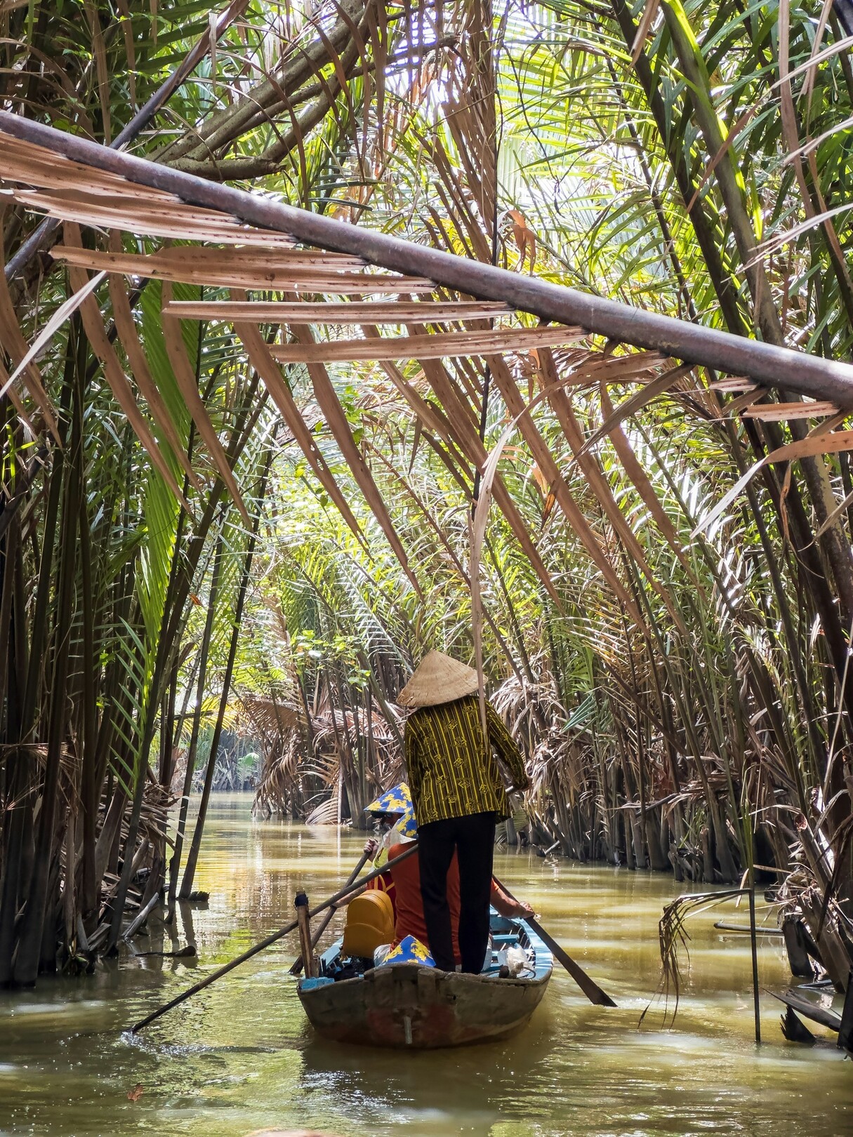 Mekong Delta