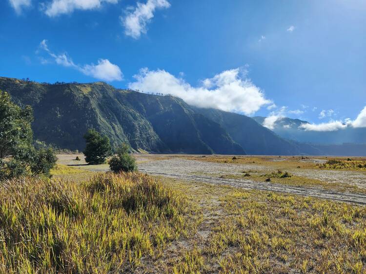 Bromo area