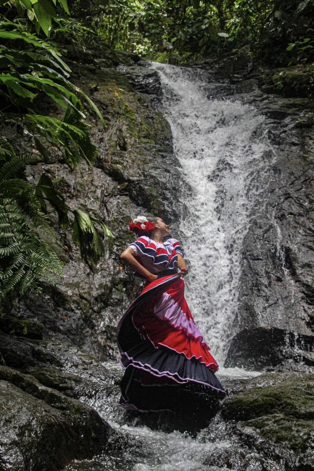 El Bosque de Tío Victor
