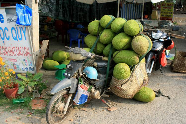 Mekong Delta, Vietnam