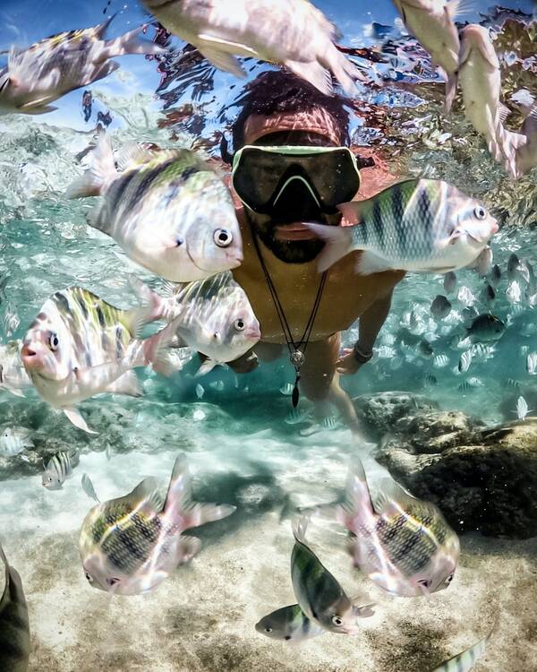 Snorkel