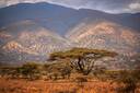 Ngorongoro Conservation Area