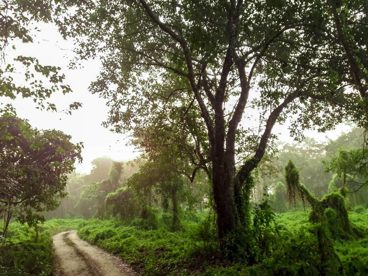 Chitwan National Park