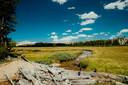 Tuolumme Meadows