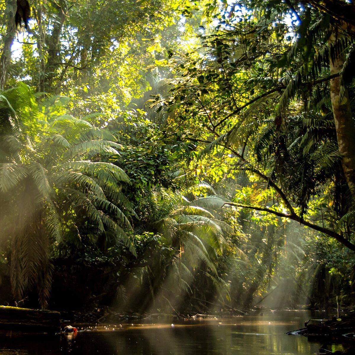 Guayaquil-Nature Trek