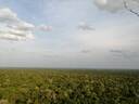 Mayan Biosphere Reserve