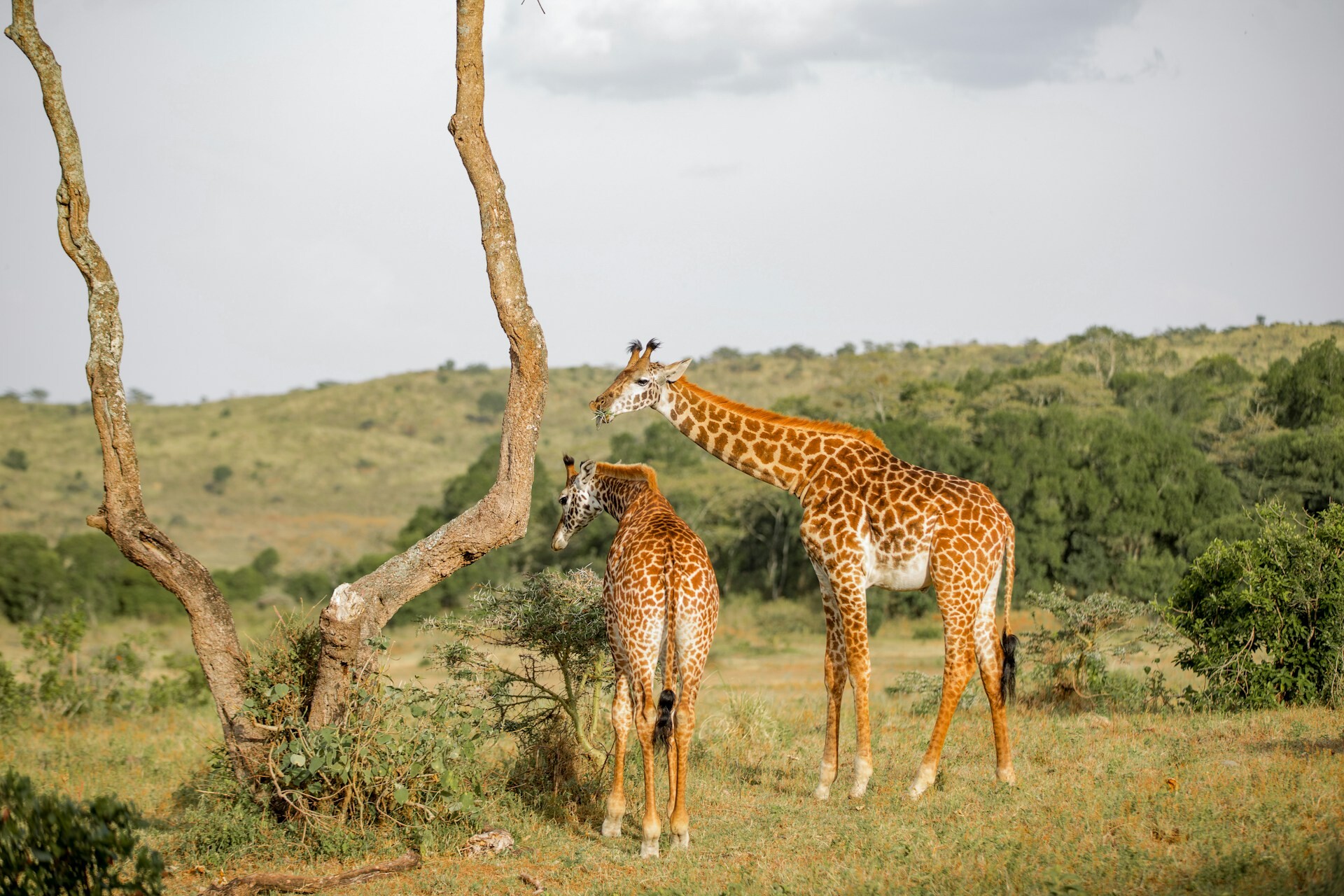 Arusha National Park