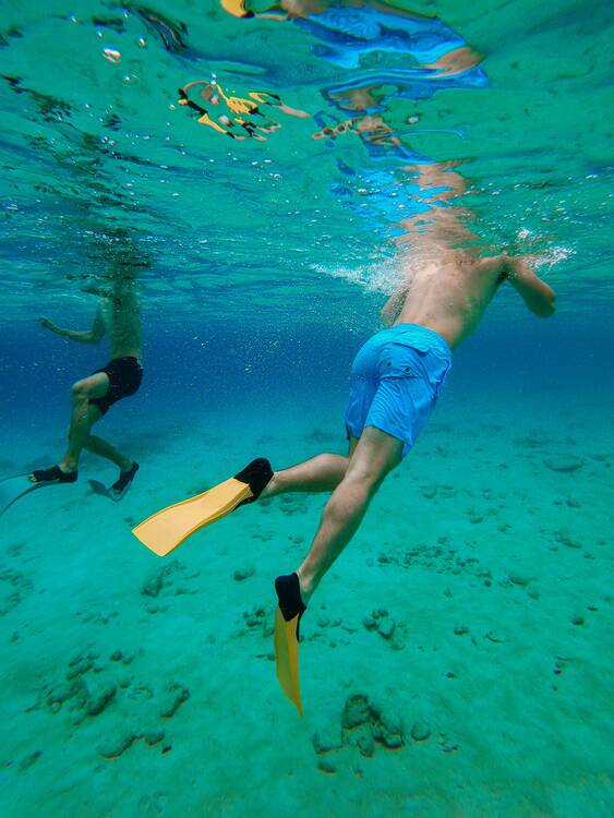 Snorkeling shallow water