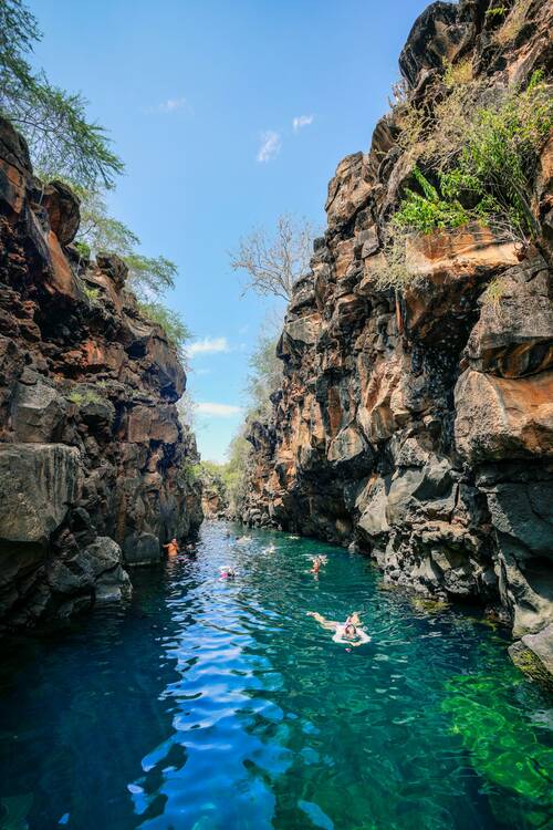 Galapagos island - swim